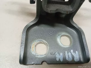 804209726R Renault Петля двери Renault Duster 2 Арт E23781832, вид 2
