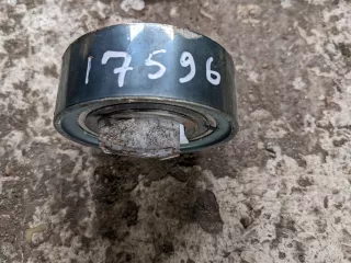 038109244M Ролик обводной Seat Toledo 1 1.9л TDi Арт 2000000017596, вид 1