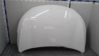 509000700AADYJ Капот EXEED TXL Restailing Арт AM41118675, вид 1