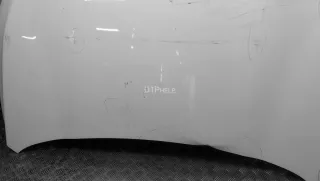 509000700AADYJ Капот EXEED TXL Restailing Арт AM41118675, вид 18