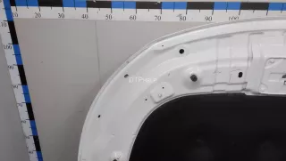 509000700AADYJ Капот EXEED TXL Restailing Арт AM41118675, вид 22