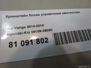 391092B090 Hyundai-Kia Кронштейн блока управления двигателем Kia Venga Арт E81091802, вид 4