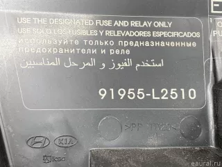 91955L2500 Hyundai-Kia Крышка блока предохранителей Kia K5 3 Арт E31676656, вид 9