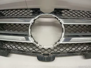 1648802885 Mercedes Benz Решетка радиатора Mercedes GL X164 Арт E23771651, вид 3