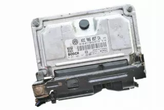 03C906057CA 0261S04187 Блок управления двигателем Seat Ibiza 4 Арт e1328073, вид 1