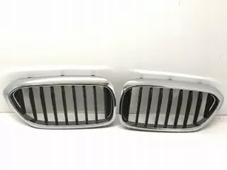 7390866 Решетка радиатора BMW 5 G30/G31 Арт e2538226, вид 1