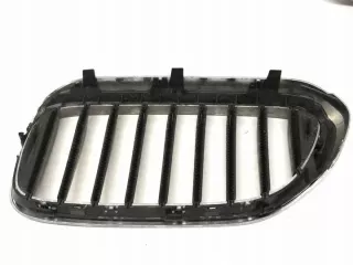 7390866 Решетка радиатора BMW 5 G30/G31 Арт e2538226, вид 7