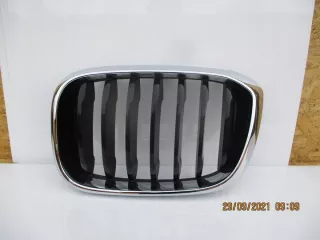 7440853 Решетка радиатора BMW X3 G01 Арт e3691192, вид 1