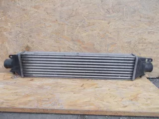 896255500 Интеркулер Fiat Doblo 2 Арт e5030528, вид 1