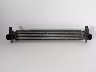 6R0145805 W0225003 Интеркулер Audi A1 Арт e5039528, вид 1