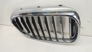 51137166440 Решетка радиатора BMW 5 G30/G31 Арт e5229292, вид 4