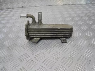 038131513AD Радиатор EGR Volkswagen Golf 4 Арт e5352999, вид 1