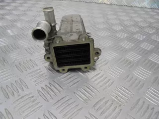 038131513AD Радиатор EGR Volkswagen Golf 4 Арт e5352999, вид 2