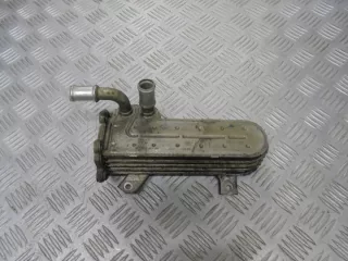 038131513AD Радиатор EGR Volkswagen Golf 4 Арт e5352999, вид 4
