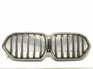 8494885 8494884 Решетка радиатора BMW X6 G06 Арт e5365833, вид 1