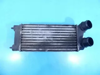 9800291280 Интеркулер Peugeot Partner 2 Арт e5571652, вид 1