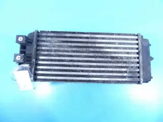 9800291280 Интеркулер Peugeot Partner 2 Арт e5571652, вид 3