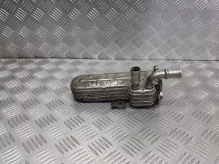 038131513AD Радиатор EGR Volkswagen Golf 5 Арт e6319986, вид 1