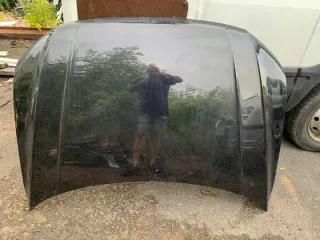 maskagolf8 Капот Volkswagen Golf 8 Арт e6656535, вид 1