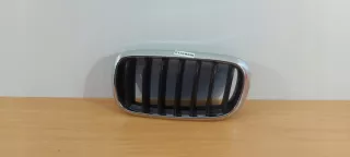 7316057 Решетка радиатора BMW X5 F15 Арт e7059932, вид 1