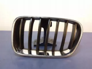7210725 Решетка радиатора BMW X3 F25 Арт e7161395, вид 1