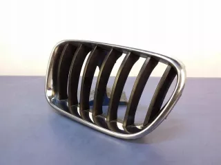 7210725 Решетка радиатора BMW X3 F25 Арт e7161395, вид 2