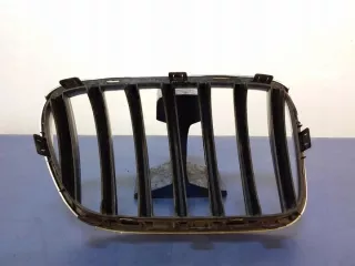 7210725 Решетка радиатора BMW X3 F25 Арт e7161395, вид 4