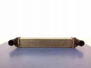 A1695000000 Интеркулер Mercedes A W169 Арт e7175274, вид 1