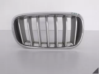 7309775 51137309775 7316076 7316058 7316054 Решетка радиатора BMW X5 F15 Арт e7435655, вид 1