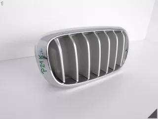 7309775 51137309775 7316076 7316058 7316054 Решетка радиатора BMW X5 F15 Арт e7435655, вид 2