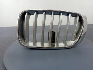 7237421 Решетка радиатора BMW X3 F25 Арт e7470376, вид 1