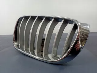 7237421 Решетка радиатора BMW X3 F25 Арт e7470376, вид 2