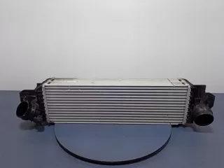 8645765 Интеркулер BMW 1 F40 Арт e7490264, вид 1