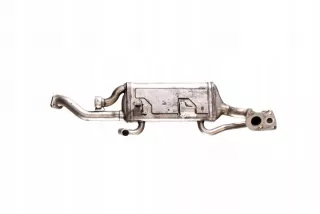 A6421401675 Радиатор EGR Mercedes S W221 Арт e7670068, вид 1