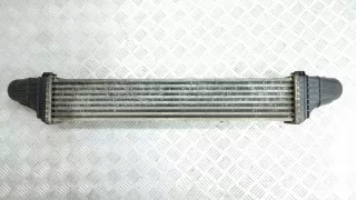 A2115001102 Интеркулер Mercedes E W211 Арт e7920638, вид 3