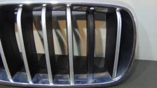7316075 Решетка радиатора BMW X5 F15 Арт e8010117, вид 4