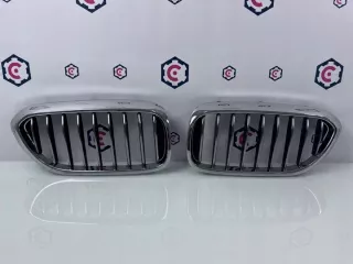 7383519 7383520 Решетка радиатора BMW 5 G30/G31 Арт e8182070, вид 1