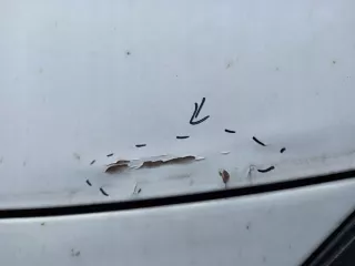  Капот Renault Twingo 2 Арт e8214269, вид 3