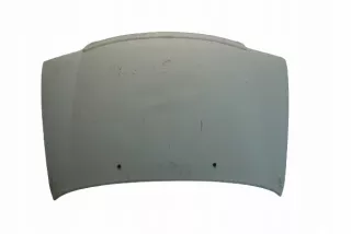  Капот Daihatsu Terios 1 Арт e8484750, вид 1