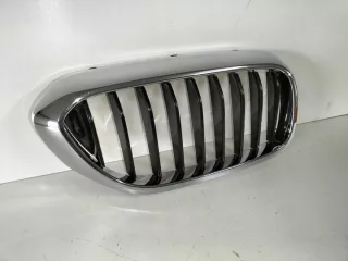 51137383520 Решетка радиатора BMW 5 G30/G31 Арт e8519007, вид 2