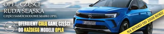 13427552 Гофра инжектора Opel Corsa E Арт e8826803, вид 4
