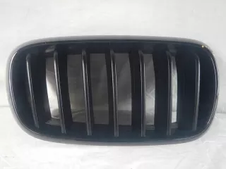 7316076 7316058 7316054 Решетка радиатора BMW X5 F15 Арт e8937798, вид 1