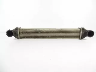 A1695000000 Интеркулер Mercedes A W169 Арт e8963378, вид 1