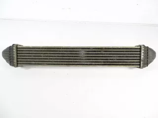 A1695000000 Интеркулер Mercedes A W169 Арт e8963378, вид 4