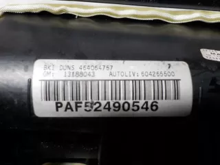 13188043 Подушка безопасности Opel Meriva 1 Арт e9052694, вид 4