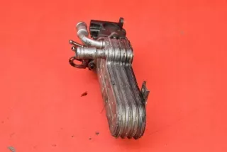 03G131513J Радиатор EGR Volkswagen Passat B6 Арт e9058242, вид 3