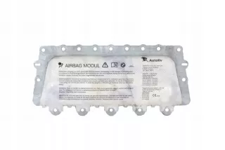 9147023 72129147023 39914702304 Подушка безопасности BMW 7 F01/F02 Арт e9068735, вид 1