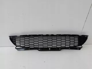 BM01-R5606J-B Решетка радиатора MINI Cooper R56 Арт e9077848, вид 1
