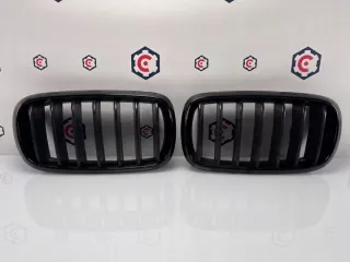 7316076 7316075 Решетка радиатора BMW X5 F15 Арт e9139974, вид 1