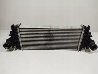 2515000000 Интеркулер Mercedes ML W164 Арт e9197066, вид 1